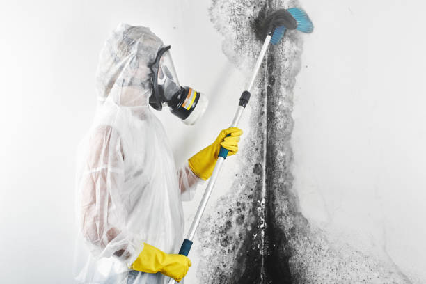 Best Airborne Mold Testing  in Carrollton, GA