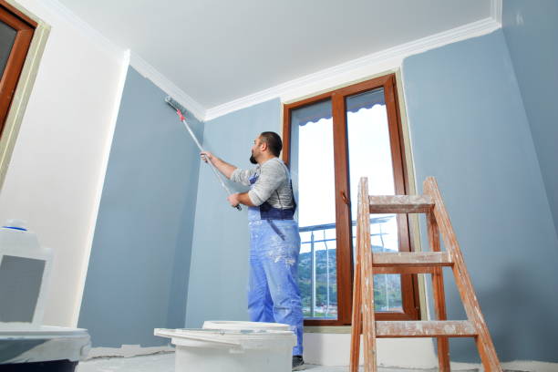 Best Mold Documentation for Insurance Claims  in Carrollton, GA