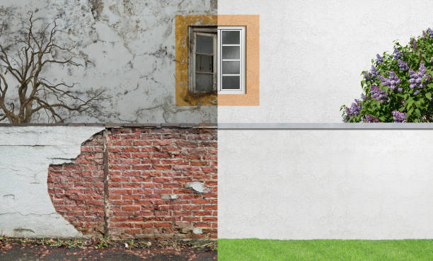 Best Mold Documentation for Insurance Claims  in Carrollton, GA
