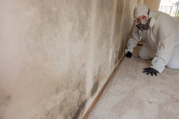 Best Forensic Mold Investigation  in Carrollton, GA