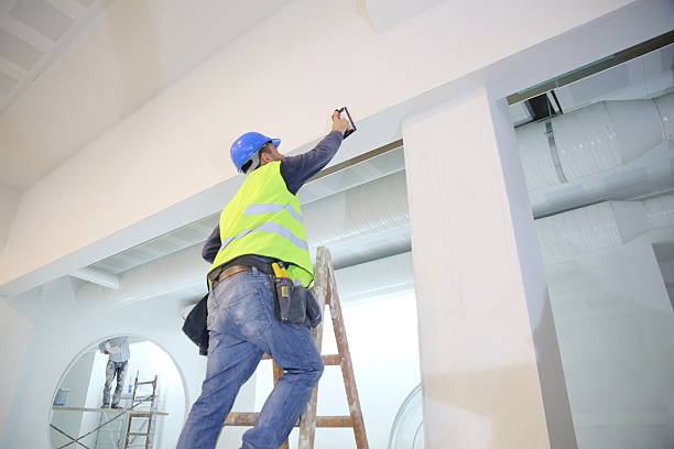 Best Mold Damage Restoration  in Carrollton, GA