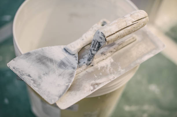 Best Emergency Mold Remediation  in Carrollton, GA