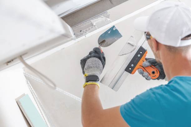 Trusted Carrollton, GA Mold Removal Experts